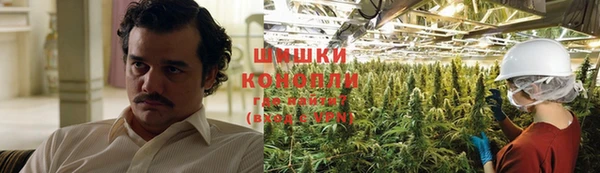 2c-b Богородск