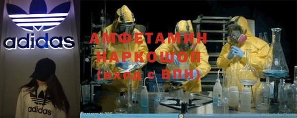 шишки Богородицк
