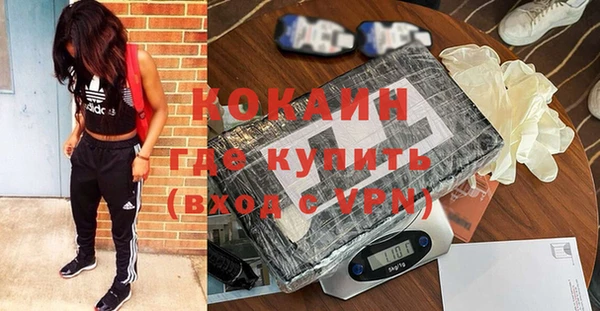 шишки Богородицк