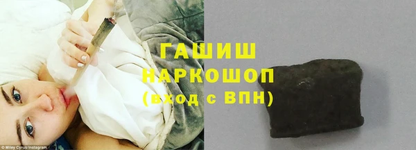 spice Богданович