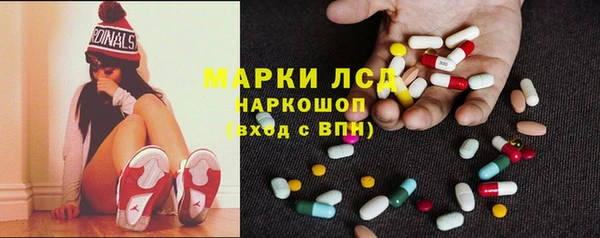 spice Богданович